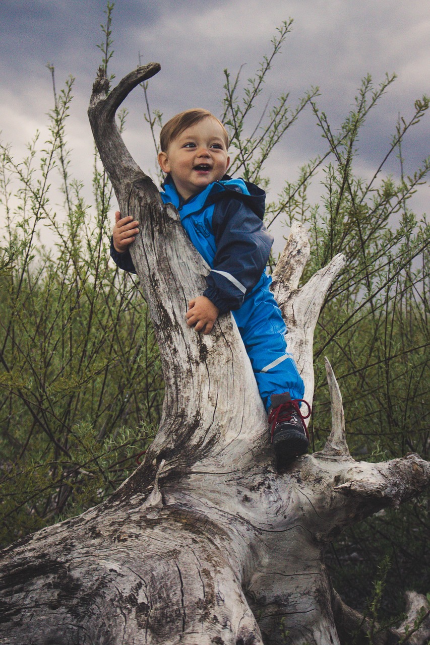 Kinder- und Familienfotos kids, young, people, child, children, childhood, little, happy, cute, portrait, boy, happiness, person, outdoor, small, wood, driftwood, kraft, play, natural, wildlife, kinder, kinder, kinder, kinder, kinder, kinder